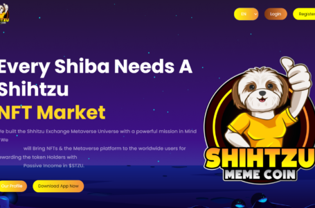 Shihtzu Exchange (STZU) Review: A Next-Generation Meme Coin-Based Extensive NFT Minting Ecosystem