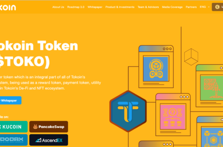 Tokoin Coin(TOKO) Review: To Build A One-Stop Ecosystem of Blockchain