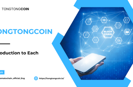 Tongtong Coin (TTC) Review: A Completed Guide