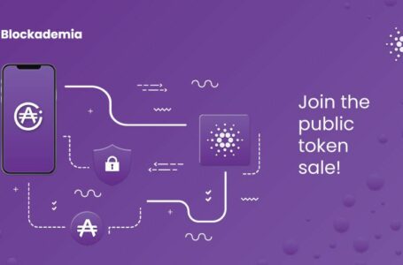 Blockademia Review: A team Of Tech-Savvy Devs is Leading an Information Blockchain-Powered Project