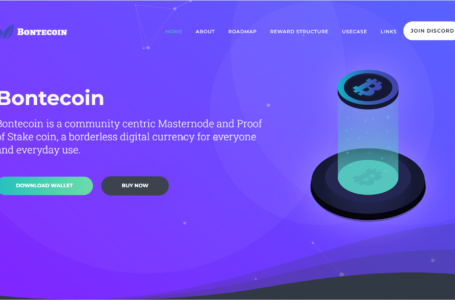 Bontecoin (BONTE) Review: A Proof of Stake Coin