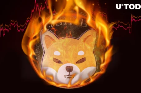 Shiba Inu (SHIB) Burn Rate Doubles on Weekend: Massive Surge Incoming?