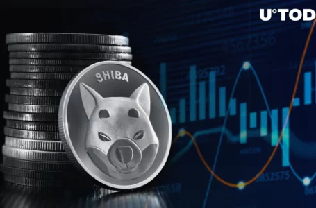 Shiba Inu Whales Hit Brakes as 8% SHIB Price Surge Rocks Market