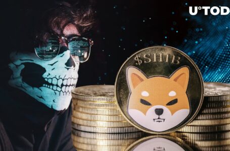 Billions of Stolen SHIB and Other Tokens Successfully Exchanged: Poly Network Hack Update