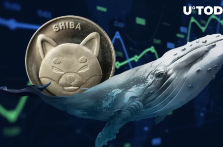 Shiba Inu (SHIB) Whales Trigger $8 Million Surge, But Here’s Jaw-Dropping Twist