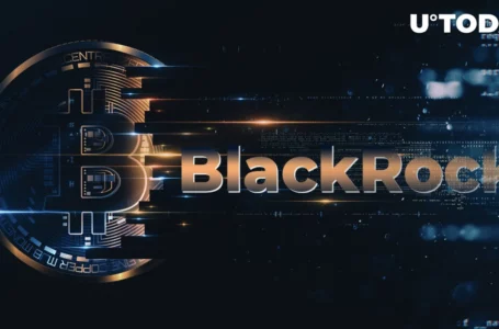 BlackRock Bitcoin ETF Effects Studied by Top Analysts: Three Outcomes