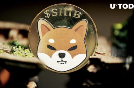 Shiba Inu: 286 Trillion SHIB Wall Might Be Stumbling Block to Price Surge