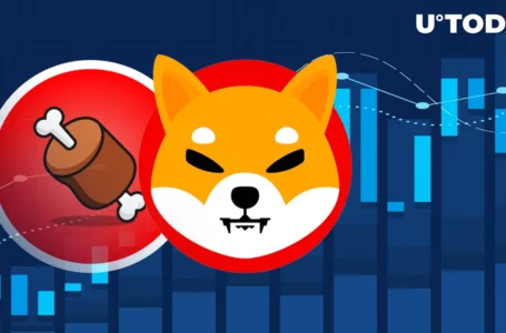 Shiba Inu’s Shibarium Token BONE Soaring, Here Are Likely Reasons