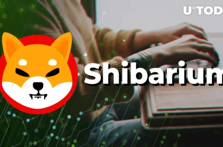 Investors Turn to SHIB Ahead of Shibarium Launch in August
