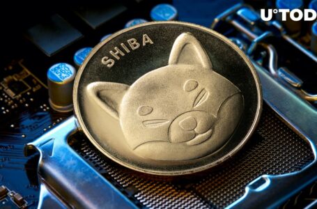 Shiba Inu Roars Back: Santiment Spots Revival