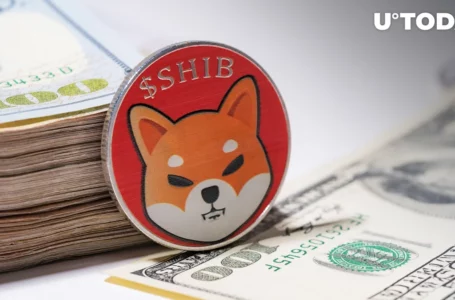 Large Shiba Inu (SHIB) Transactions Stay High, but Here’s Major Catch