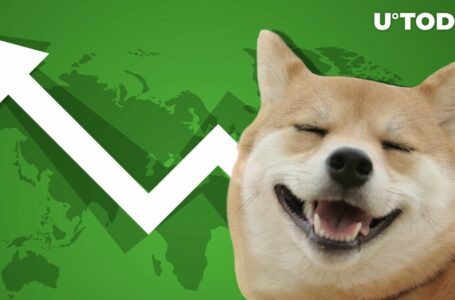 Large Shiba Inu Transactions Quadruple as SHIB Price Explodes