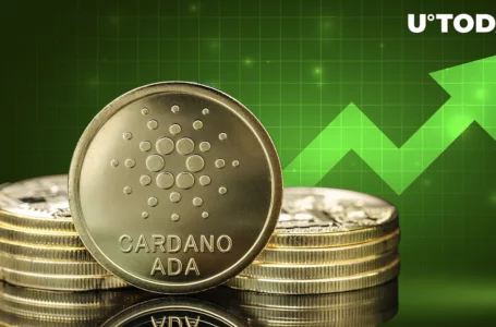 Cardano (ADA) up 23%, Here’s Why Bulls Are Elated