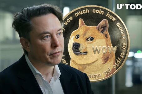 Elon Musk Shares Ad Revenue, Here’s How Much Dogecoin Founder Made