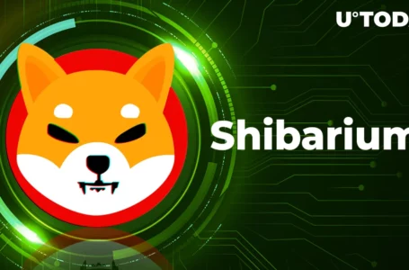 Shiba Inu Team Announces Summer of Shibarium; Is SHIB About to Surge?
