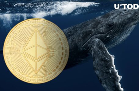 Ethereum (ETH) Whales Selling Their Holdings, What’s Happening?