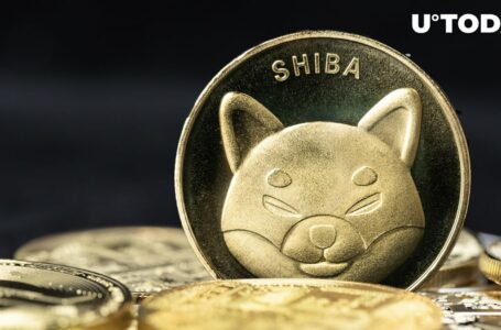 Shiba Inu (SHIB) Breakthrough Still Holds: Sigh of Relief?