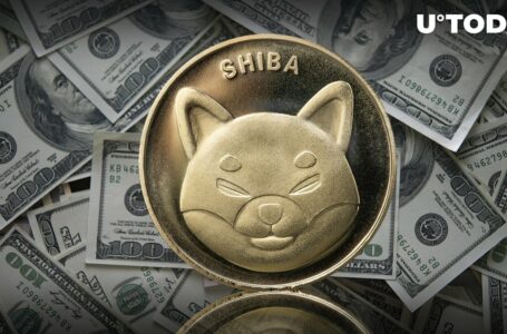 Shiba Inu (SHIB) Investors Taking Profits? Billions Move on Exchanges