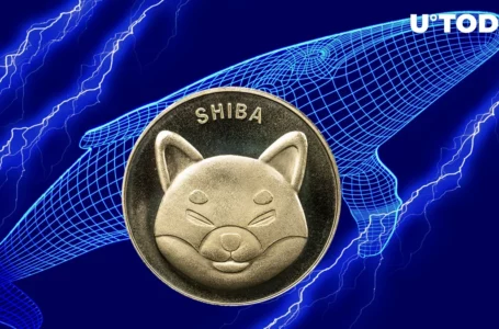 Whales Shift 49 Billion SHIB as Shibarium Hits New All-Time High