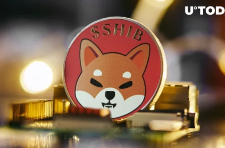 Shiba Inu (SHIB) Giveaway Announced, Here’s What It’s For