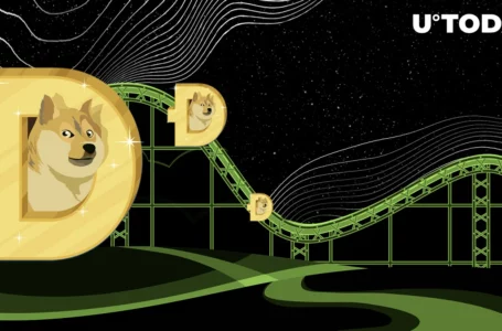 Tens of Millions of DOGE Top up Miners’ Reserves: Is Dogecoin Rally Ahead?