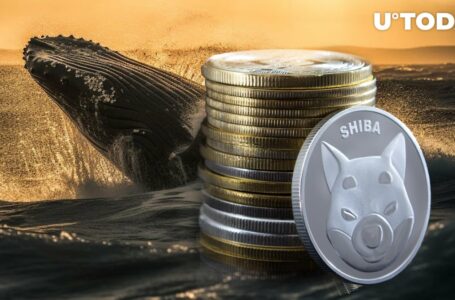 Shiba Inu (SHIB) Whales’ Inflow Skyrockets by 3,700%, What’s Going On?