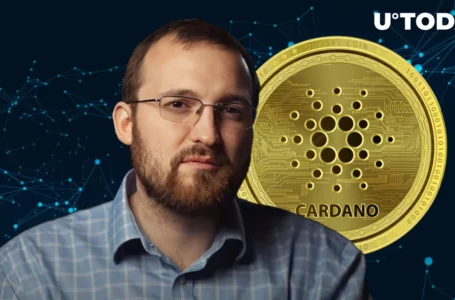 Cardano Founder Gives Update on Network Rollup Strategy