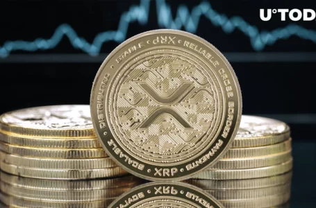 XRP Price History Sends Warning for Future Prospects