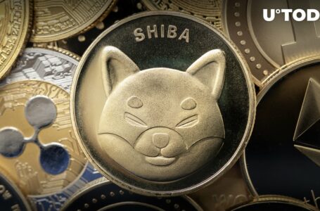 Large Shiba Inu Holders Witness Jaw-Dropping 923% Surge in SHIB Outflows Overnight
