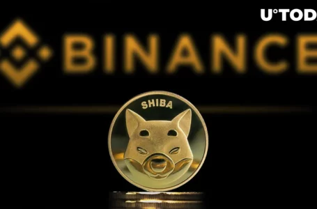 Shiba Inu (SHIB) Gets Green Light from Binance as Collateral Asset for Flexible Loans