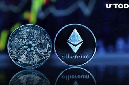 Ethereum Advocate Slams Cardano as “Zombie Chain”