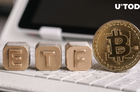 Bitcoin ETF: Grayscale Decision Delayed
