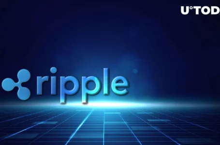 Ripple Suffers From Delayed Market Development: Flare CEO