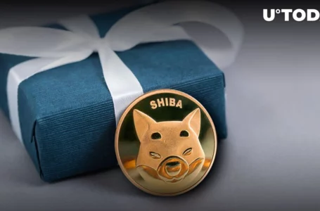 Shiba Inu Unleashes Global Birthday Bash for SHIB Community