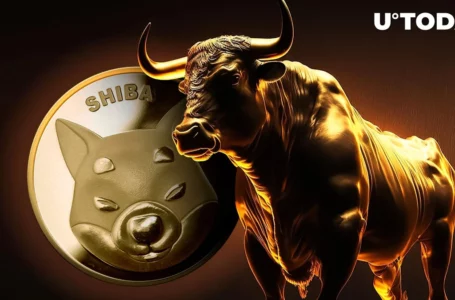 Shiba Inu (SHIB) Bulls Absolutely Destroyed Massive Resistance