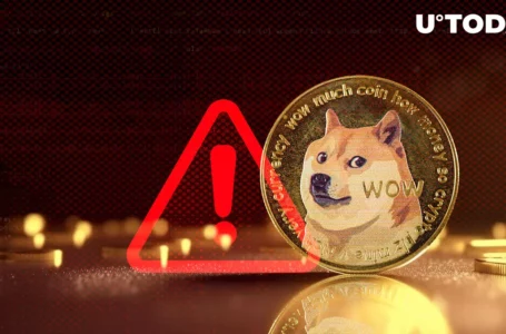 Dogecoin Dev Issues Major DOGE Alert: Here’s What Happened