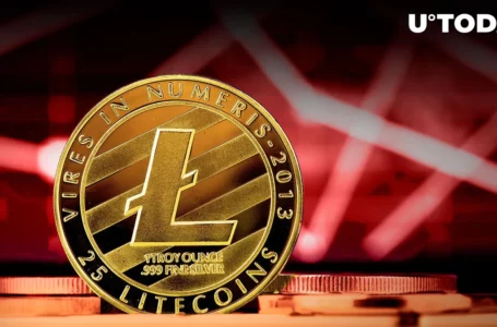 Litecoin (LTC) Halving Just Hours Away, Here’s How Many Blocks Left
