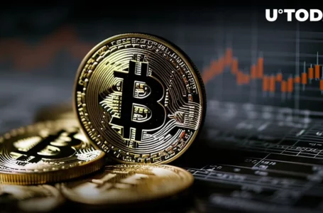 Bitcoin (BTC) Moving Against Expectations, Probable Cause?