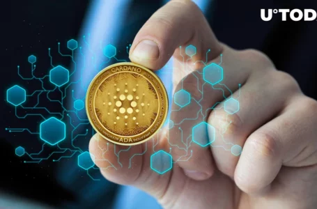 Cardano (ADA) Makes Epic Game-Changing Testnet Announcement: Here’s Ultimate Guide