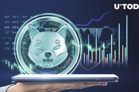 Shiba Inu (SHIB) Hits Major Record Again, Shibarium Sentiment at Play?