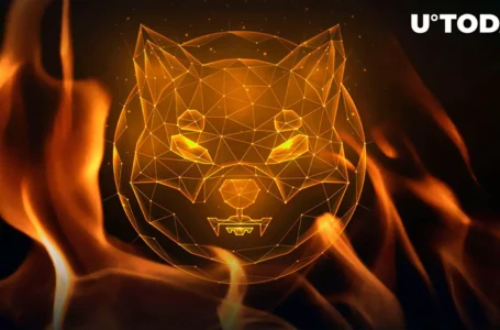 Millions of Shiba Inu Burnt This Week, Price Reacts