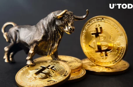 Top Bitcoin Analyst Calls ‘Buy the Dip’ Amid Bullish Signal