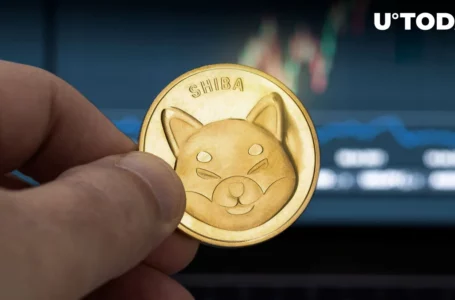 3 Reasons Why Shiba Inu (SHIB) Uptrend Might Be Over Already