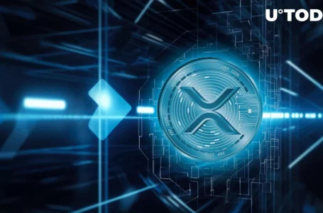 XRP On-chain Data Has Something to Tell Us