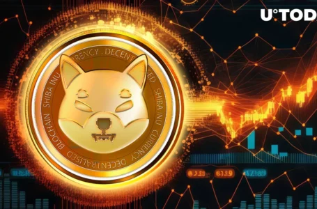 Shiba Inu Trillionaires Acquire 11 Trillion SHIB in Just 2 Days as Shibarium Nears