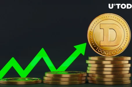 Here’s One Exciting Thing About Dogecoin’s Growth