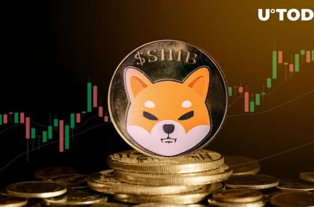 Shiba Inu (SHIB) Inflows See Jaw-dropping 2,200% Spike, Here’s Why