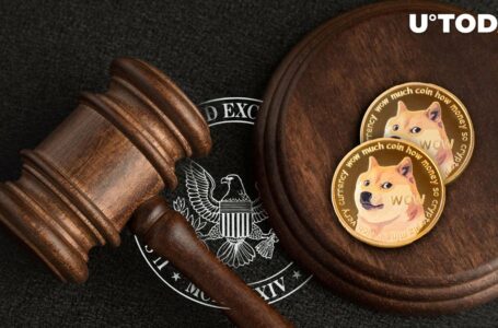 SEC Would Have Lost Against DOGE 10 Years Ago, Founder Explains Why