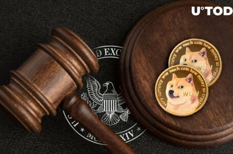 SEC Would Have Lost Against DOGE 10 Years Ago, Founder Explains Why