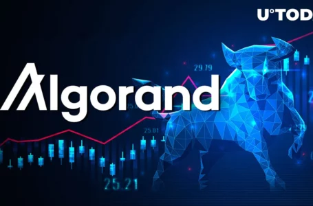 Algorand (ALGO) up 10%, Bull Sets New Target
